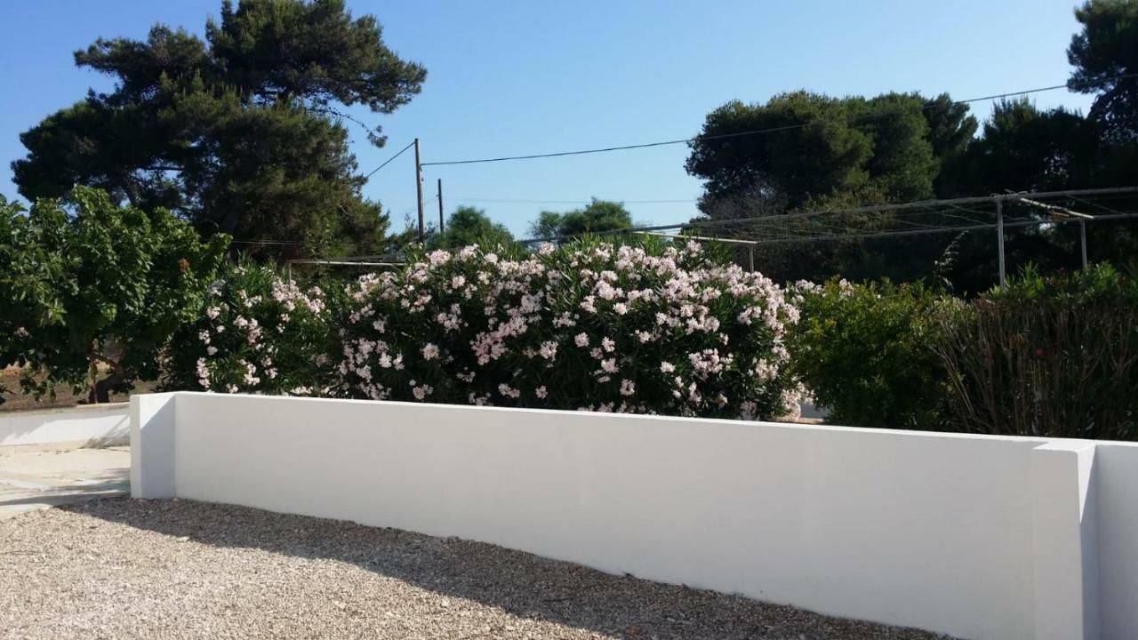 Casa Vacanze Salento ตอร์เร ซาน จิโอวานนิ อูเจนโต ภายนอก รูปภาพ
